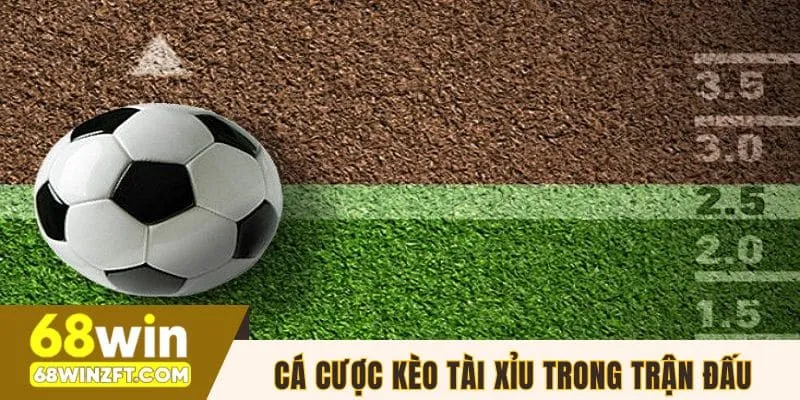 Cá cược kèo tài xỉu trong trận đấu